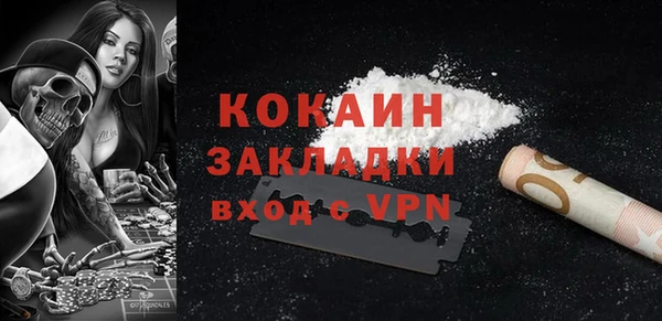Альфа ПВП Инта